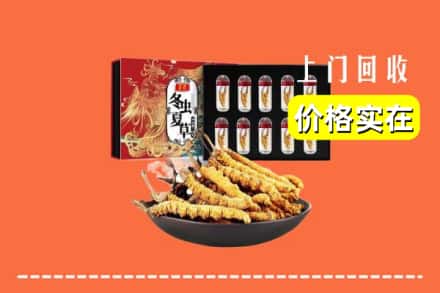 滦平县回收冬虫夏草